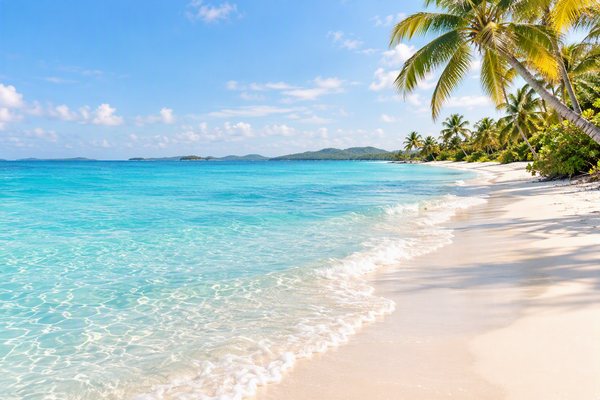 White sand beach with palm trees and turquoise water in the Bahamas